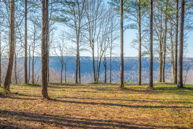 0 Cumberland Circle Sv163, Jasper, TN 37347