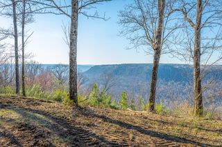 0 Cumberland Circle Sv163, Jasper, TN 37347
