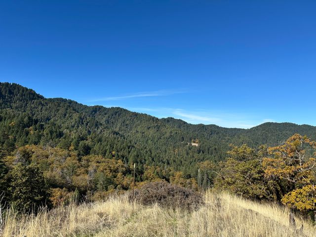 3834 Thomas Road, Miranda, CA 95553