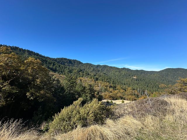 3834 Thomas Road, Miranda, CA 95553