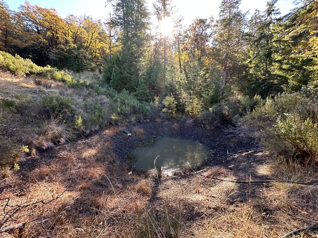 3834 Thomas Road, Miranda, CA 95553