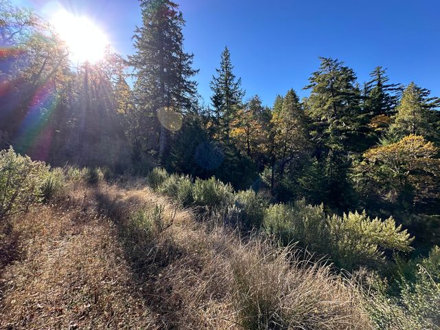 3834 Thomas Road, Miranda, CA 95553