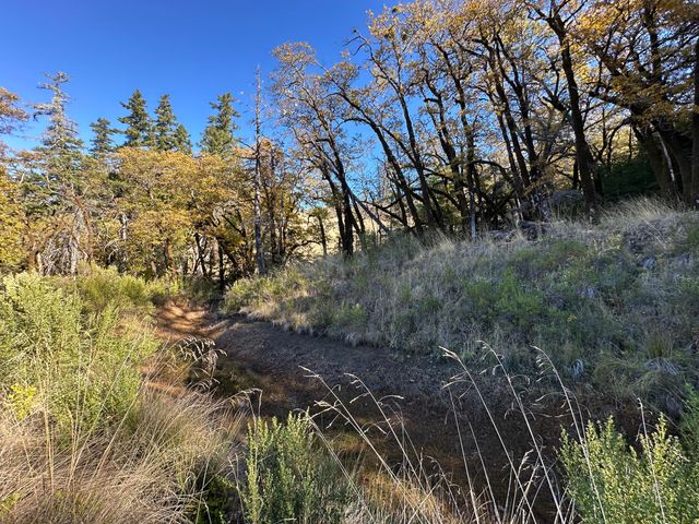 3834 Thomas Road, Miranda, CA 95553