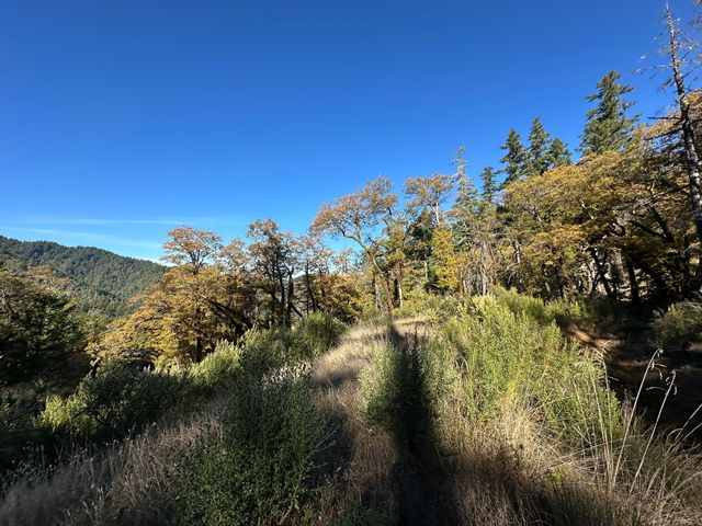 3834 Thomas Road, Miranda, CA 95553