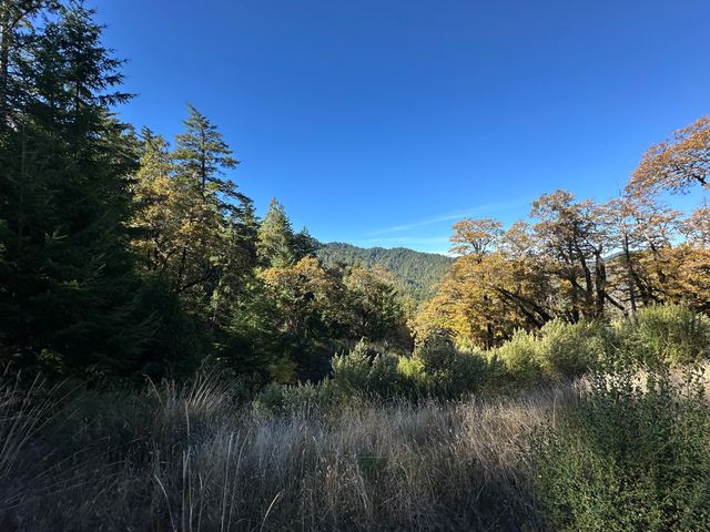 3834 Thomas Road, Miranda, CA 95553