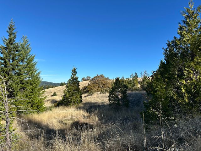 3834 Thomas Road, Miranda, CA 95553