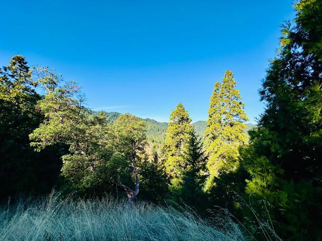 3834 Thomas Road, Miranda, CA 95553