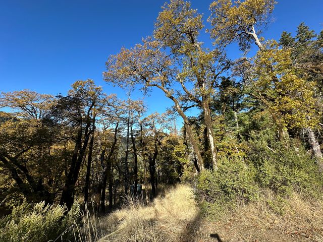 3834 Thomas Road, Miranda, CA 95553