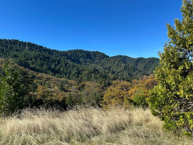 3834 Thomas Road, Miranda, CA 95553