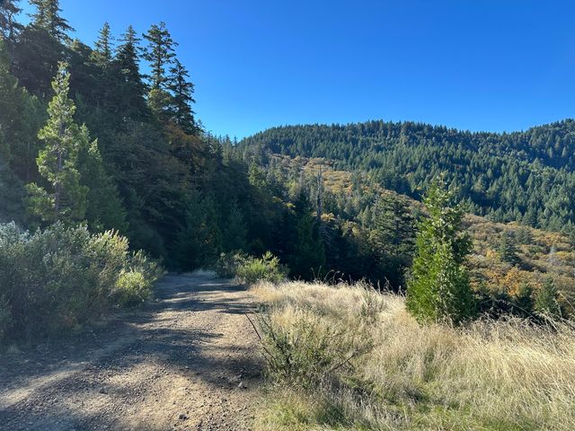 3834 Thomas Road, Miranda, CA 95553