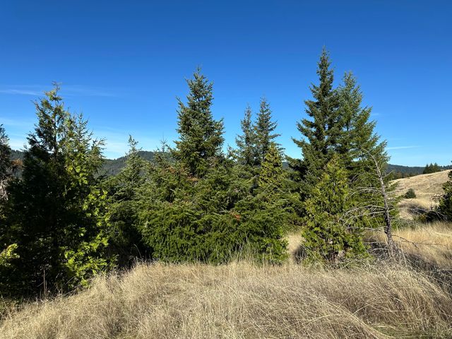 3834 Thomas Road, Miranda, CA 95553