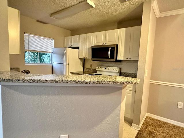 18001 RICHMOND PLACE DRIVE 332, Tampa, FL 33647