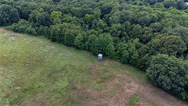 TBD Bethlehem Road, Winslow, AR 72959