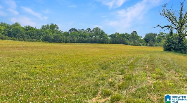 4694 HOLLY GROVE ROAD, Jasper, AL 35501