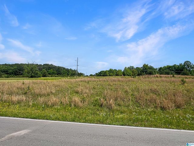 4694 HOLLY GROVE ROAD, Jasper, AL 35501