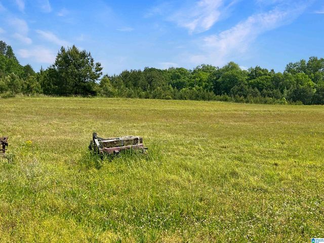4694 HOLLY GROVE ROAD, Jasper, AL 35501