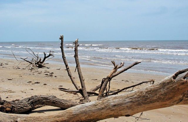 2331 Gulfview Drive, Sargent, TX 77414