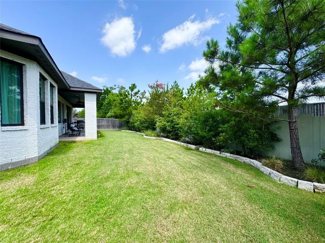 10494 Lake Palmetto Drive, Conroe, TX 77385