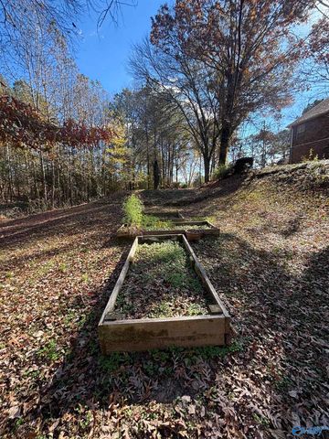 305 County Road 36, Collinsville, AL 35961