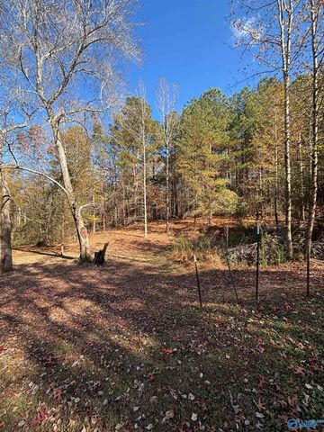 305 County Road 36, Collinsville, AL 35961