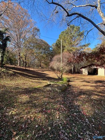 305 County Road 36, Collinsville, AL 35961