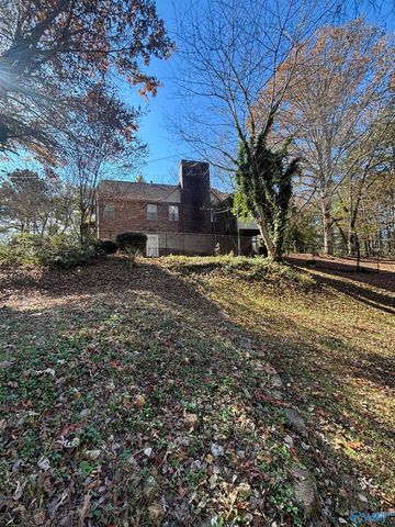 305 County Road 36, Collinsville, AL 35961