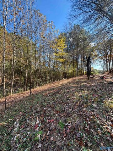 305 County Road 36, Collinsville, AL 35961