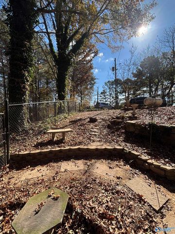 305 County Road 36, Collinsville, AL 35961