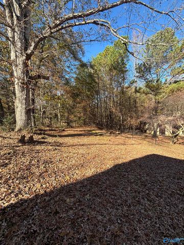 305 County Road 36, Collinsville, AL 35961