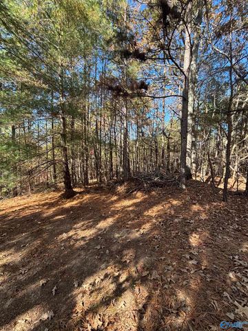 305 County Road 36, Collinsville, AL 35961