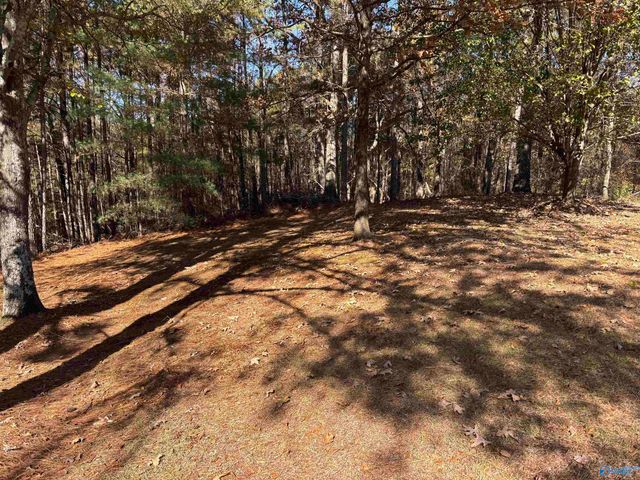 305 County Road 36, Collinsville, AL 35961