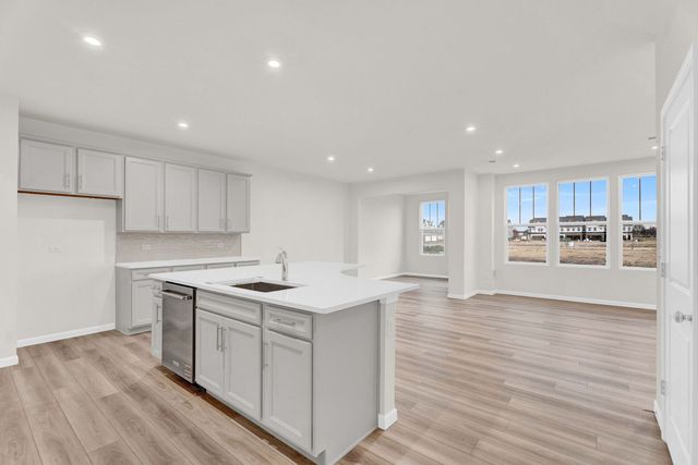 24424 W Alexis Lane 55405, Plainfield, IL 60585