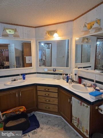 22 E GREENWING DR, Milton, DE 19968