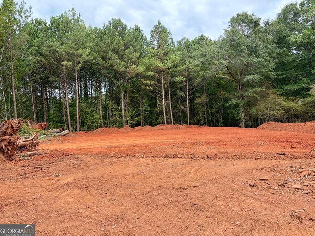 3 Wisteria Lane, Williamson, GA 30292
