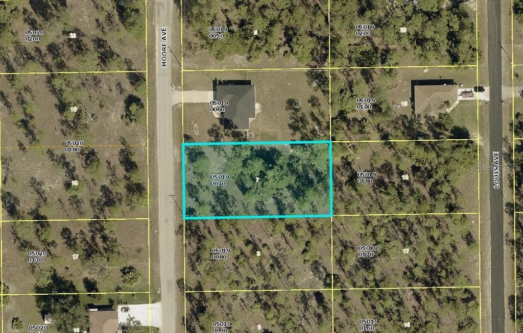 110 MOORE AVENUE, Lehigh Acres, FL 33936