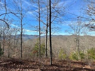 305 Raccoon Run 25, Marshall, NC 28753
