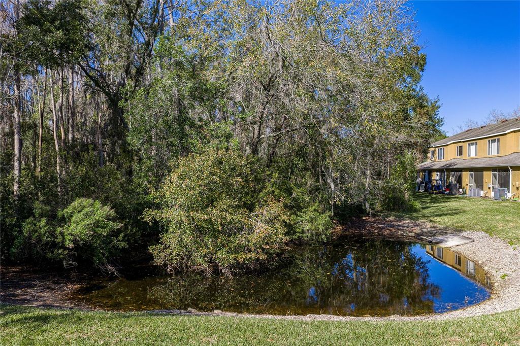 Image 51 of property listing at 1219 KENNEWICK COURT, Wesley Chapel, FL 33543