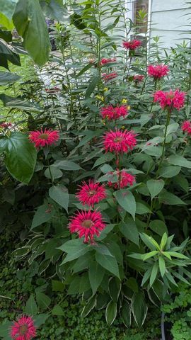 3506 Greenwood Drive, Janesville, WI 53546