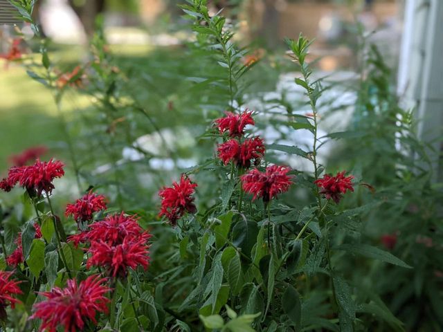 3506 Greenwood Drive, Janesville, WI 53546