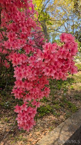 3202 Lebron Road, Montgomery, AL 36106