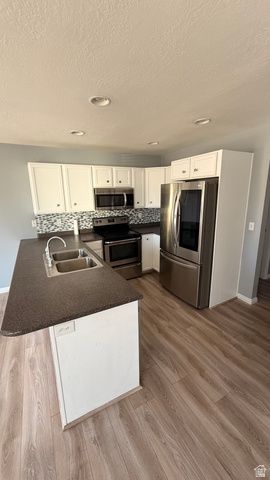 12446 S MOSSBERG DR, Herriman, UT 84096