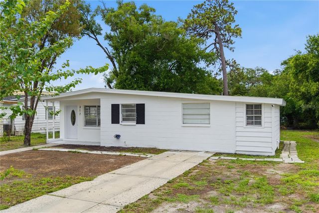317 E HYDRANGIA STREET, Tampa, FL 33612