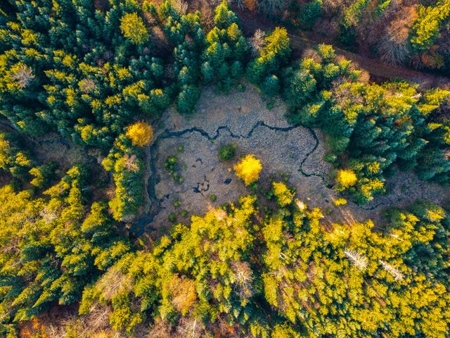 134 Haystack Mountain Road, Piercefield, NY 12973