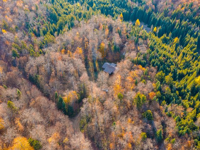 134 Haystack Mountain Road, Piercefield, NY 12973