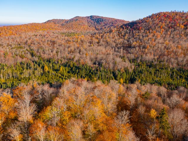 134 Haystack Mountain Road, Piercefield, NY 12973