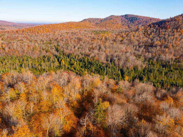 134 Haystack Mountain Road, Piercefield, NY 12973