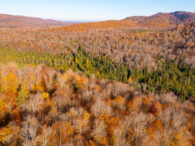 134 Haystack Mountain Road, Piercefield, NY 12973