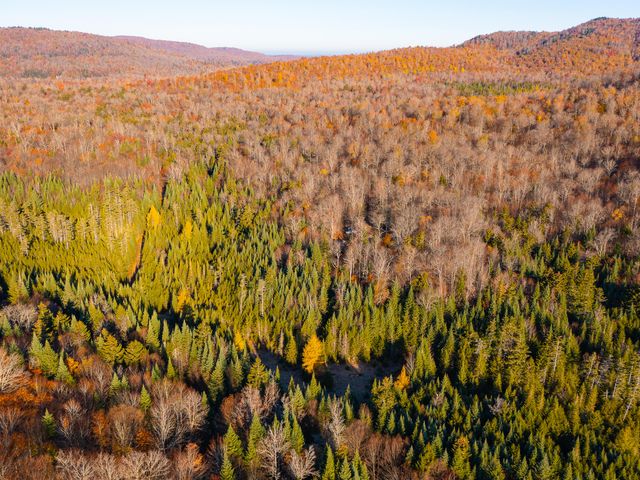 134 Haystack Mountain Road, Piercefield, NY 12973