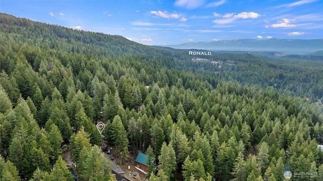 1051 Highland Loop, Ronald, WA 98940