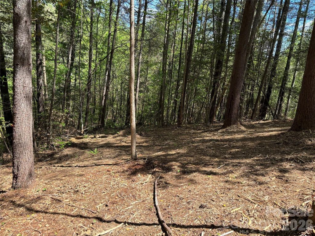 1665 Round Mountain Parkway 69, Lenoir, NC 28645